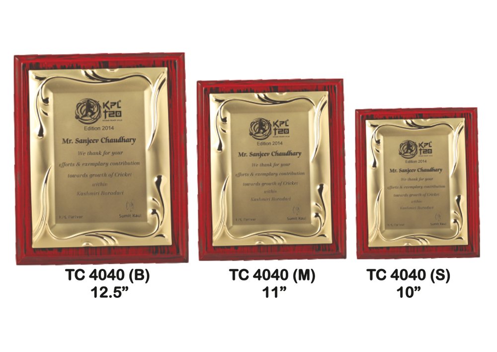 Metal Frame Trophy Manuafcturer in Delhi