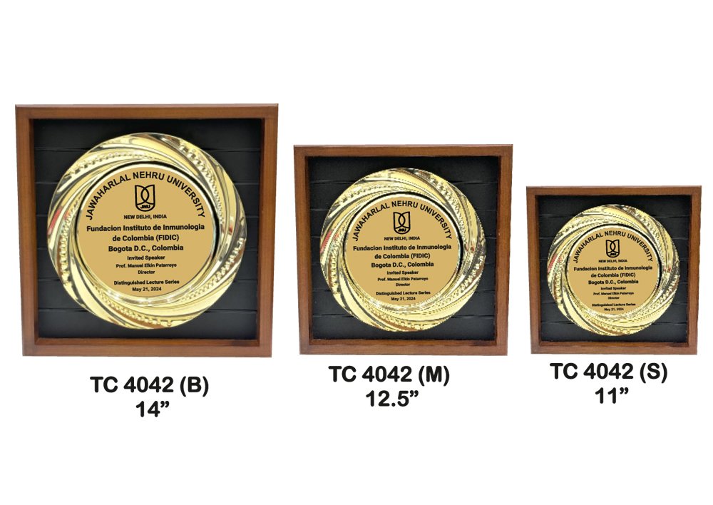 Metal Frame Trophy Manuafcturer in Delhi