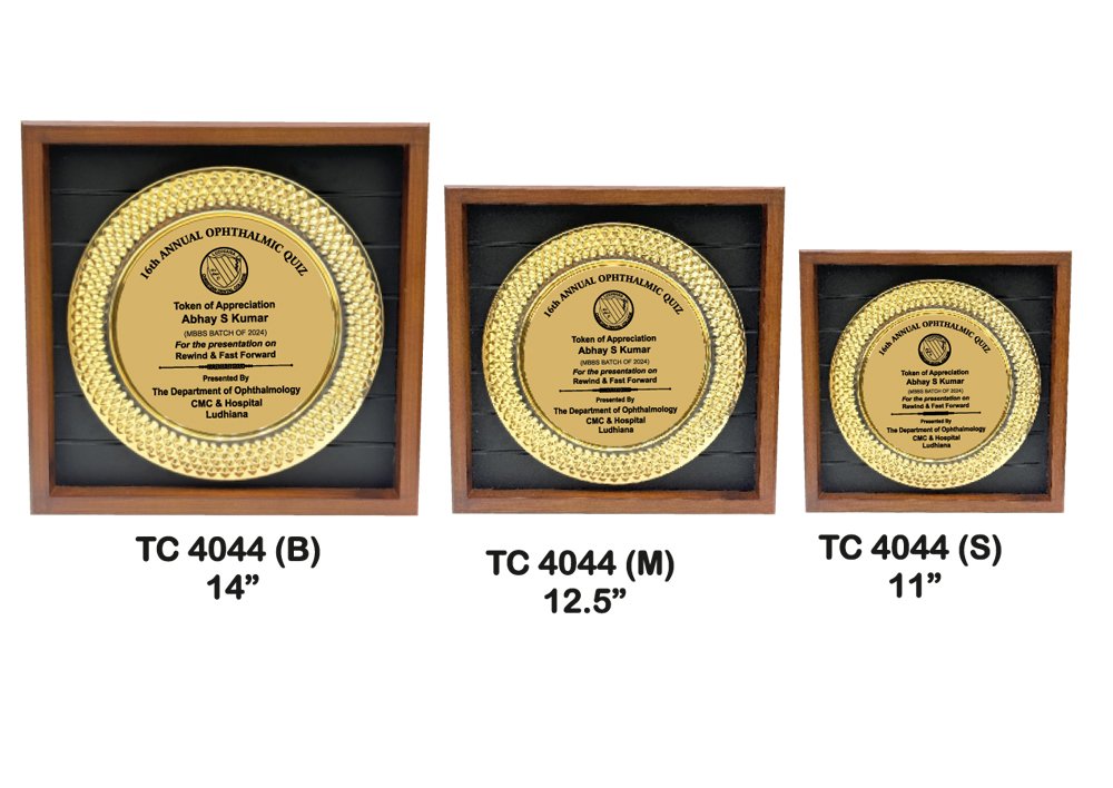 Metal Frame Trophy Manuafcturer in Delhi