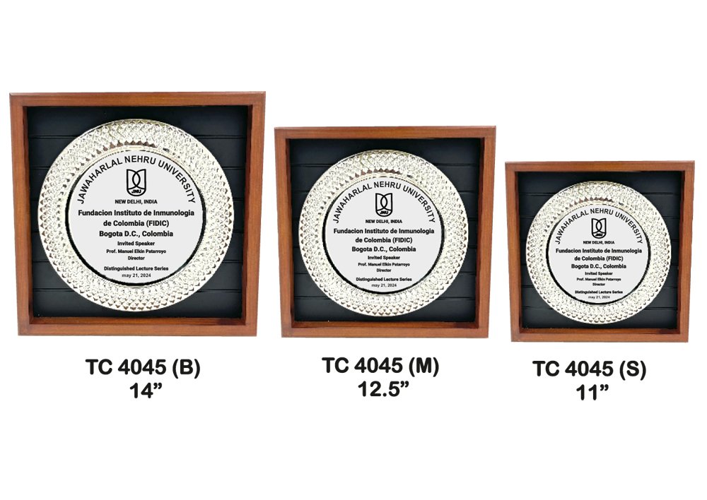 Metal Frame Trophy Manuafcturer in Delhi