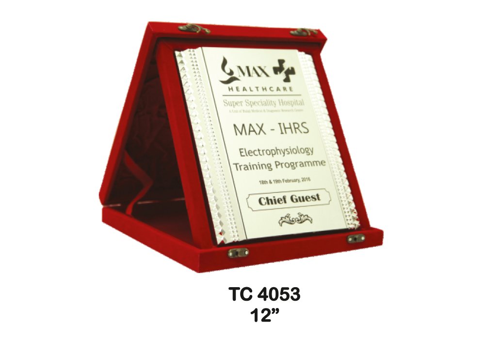 Metal Frame Trophy Manuafcturer in Delhi