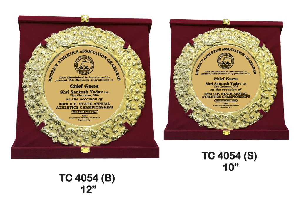 Metal Frame Trophy Manuafcturer in Delhi