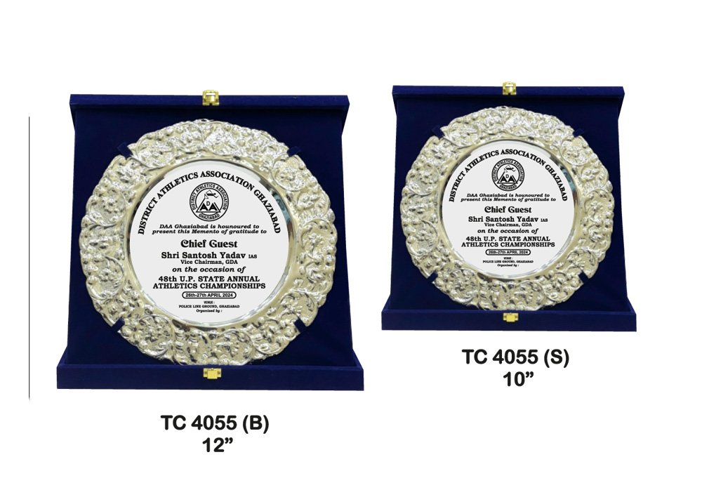 Metal Frame Trophy Manuafcturer in Delhi