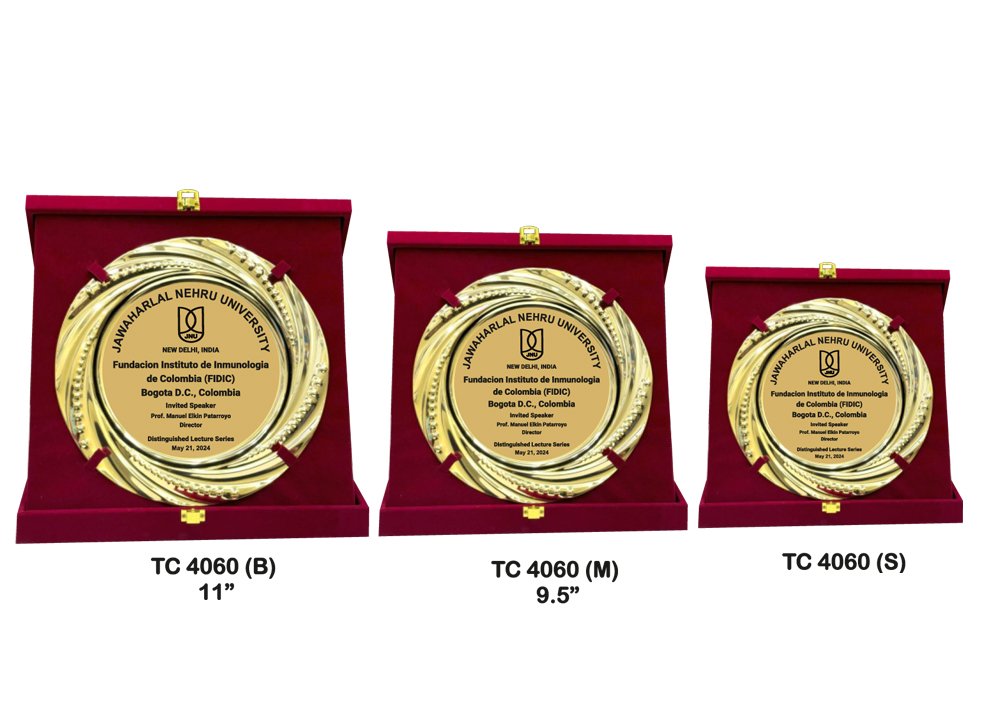 Metal Frame Trophy Manuafcturer in Delhi