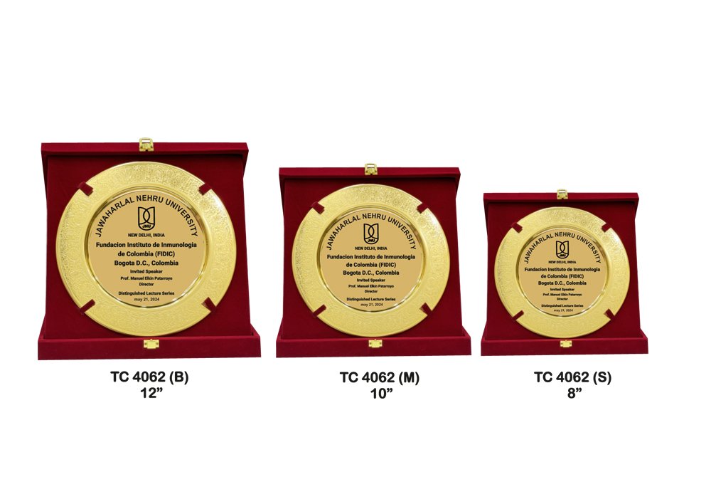Metal Frame Trophy Manuafcturer in Delhi