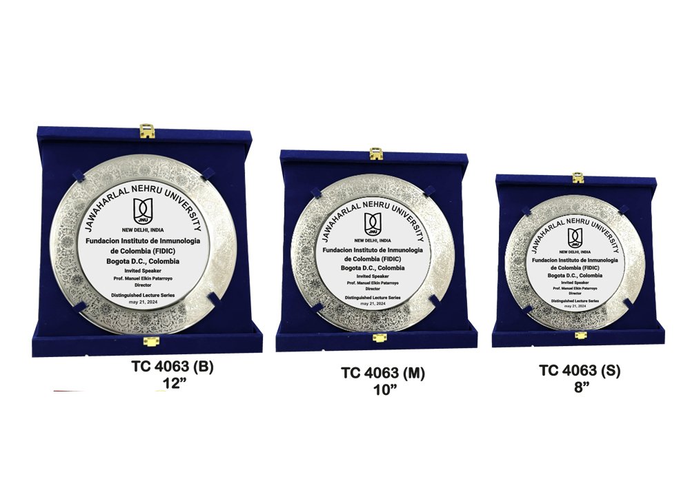 Metal Frame Trophy Manuafcturer in Delhi