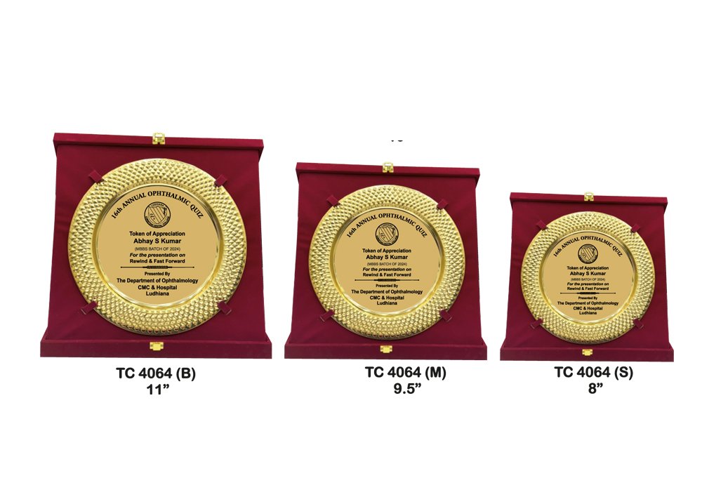 Metal Frame Trophy Manuafcturer in Delhi
