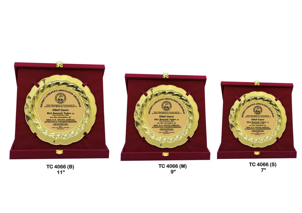 Metal Frame Trophy Manuafcturer in Delhi