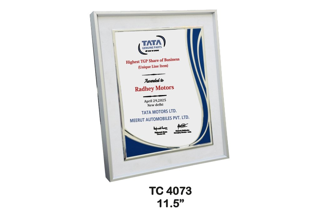 Customized-Industrial-Metal-frame-Trophies-4073