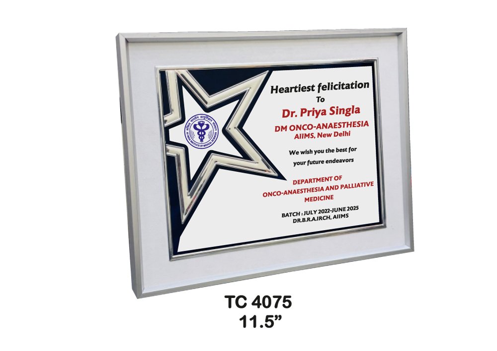Customized-Pofessorsl-Metal-frame-Trophies-4075