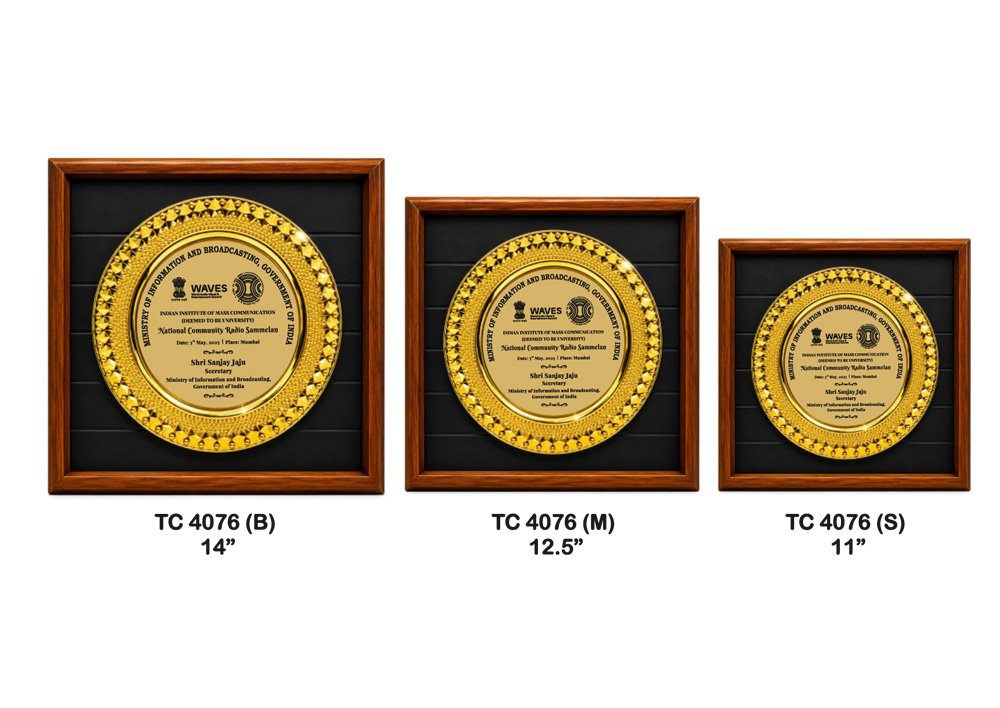 Customized-B2B-Metal-frame-Trophies-4076