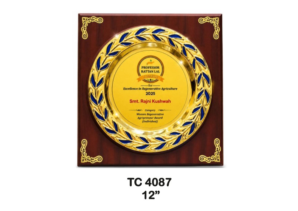 Customized-Central-Govt-Metal-frame-Trophies-4081