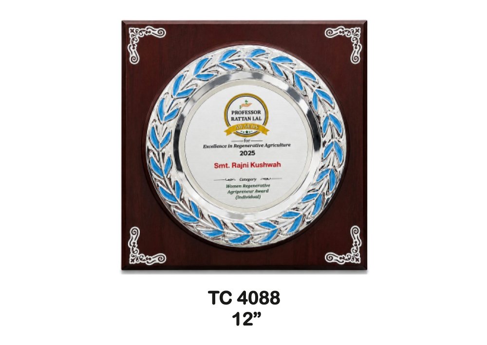 Customized-Banks-Metal-frame-Trophies-4079