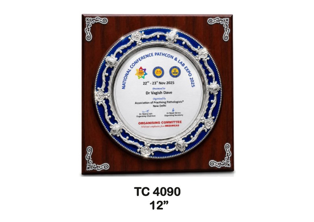 Customized-Central-Govt-Metal-frame-Trophies-4081