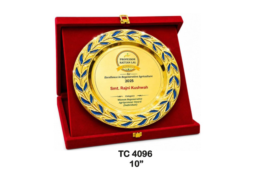 Customized-Central-Govt-Metal-frame-Trophies-4081