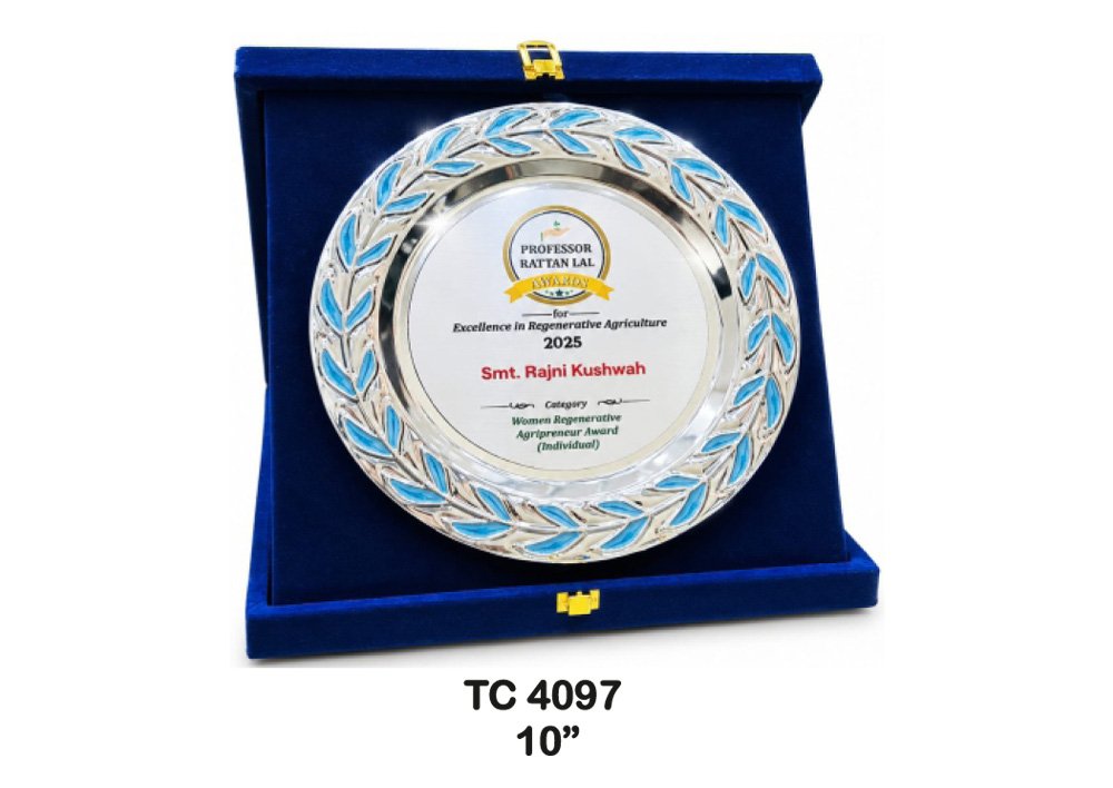 Customized-Banks-Metal-frame-Trophies-4079