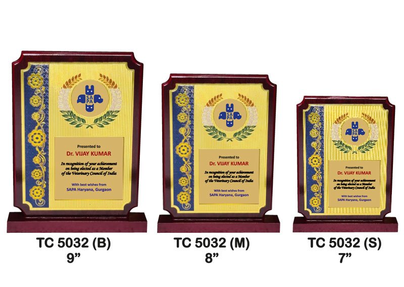 Corporate-Foil-Trophy-Supplier-5031