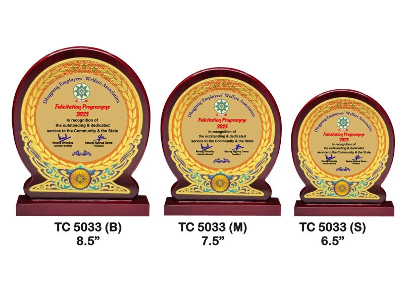 Customized-Corporate-Foil-Trophy-Supplier-5032
