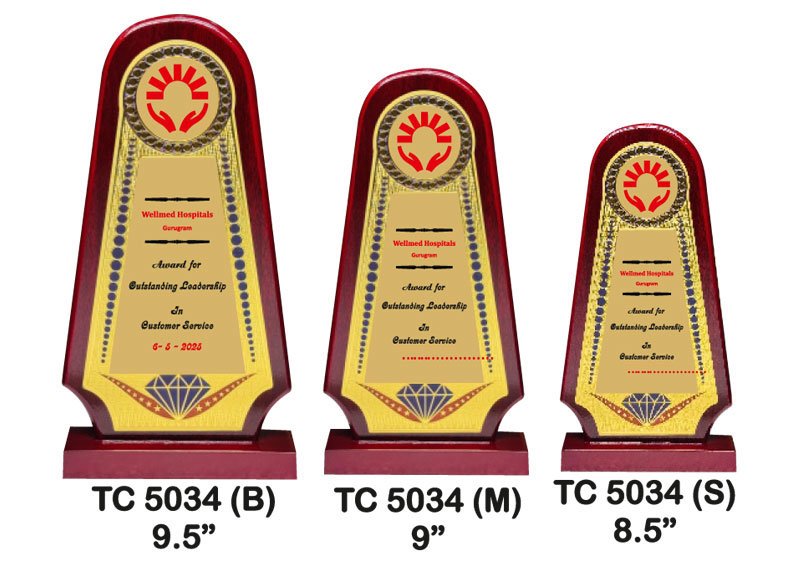 Customized-Government-Foil-Trophy-Supplier-5033