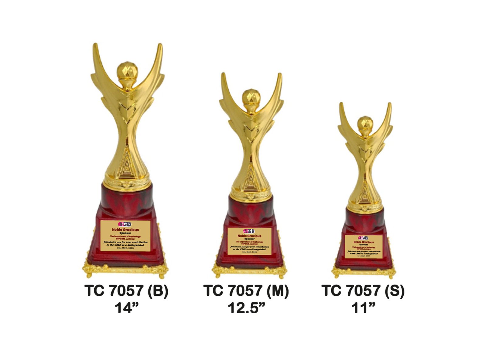 Trophy Manufacturer in Noida
