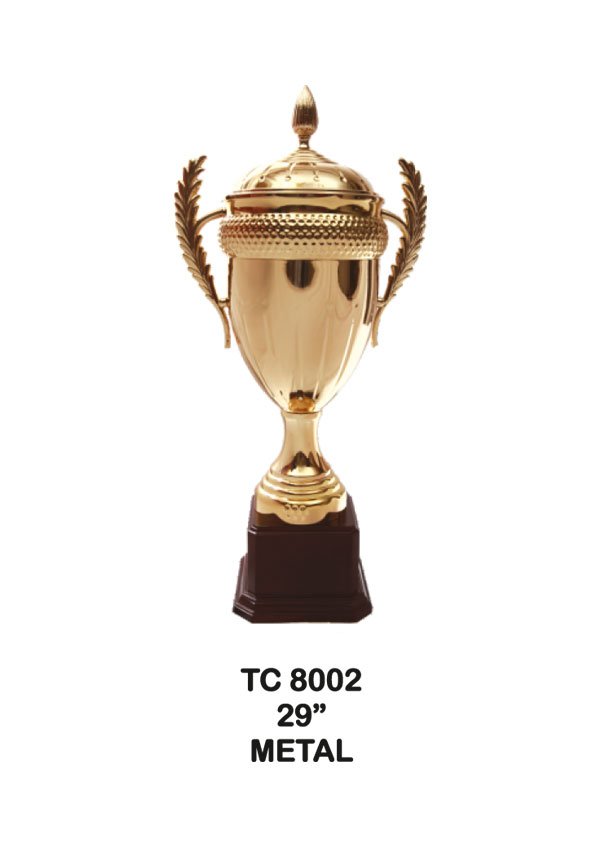 Cups Trophy Manufacturer in Delhi