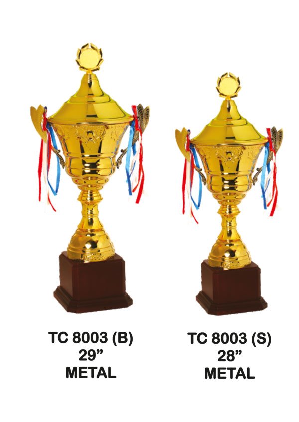 Cups Trophy Manufacturer in Delhi