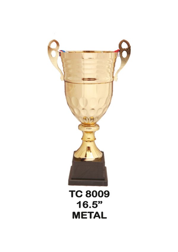 Cups Trophy Manufacturer in Delhi