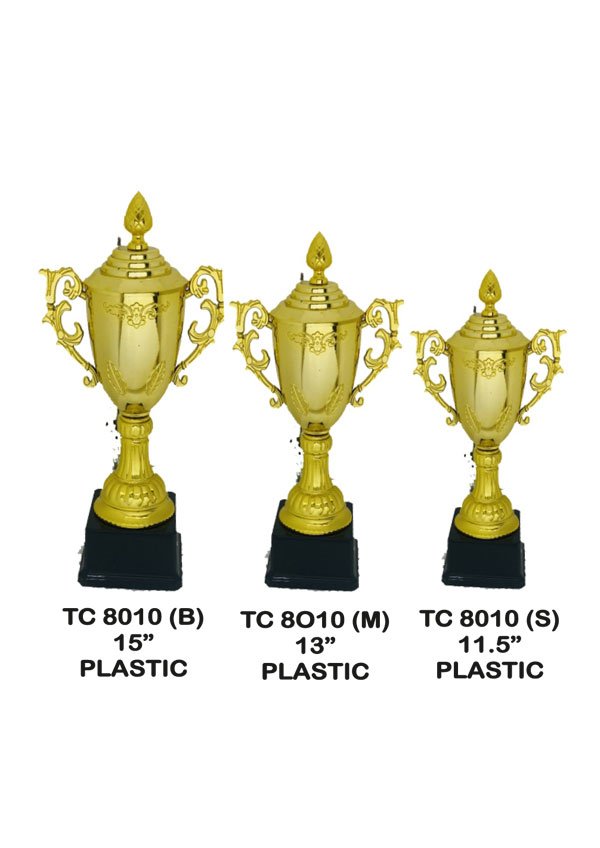 Cups Trophy Manufacturer in Delhi