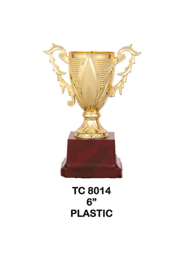 Cups Trophy Manufacturer in Delhi