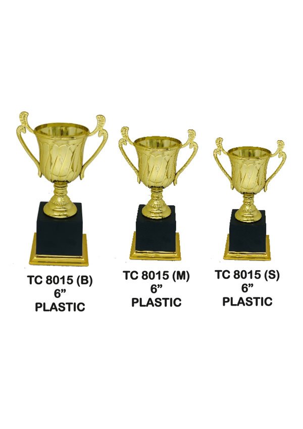 Cups Trophy Manufacturer in Delhi