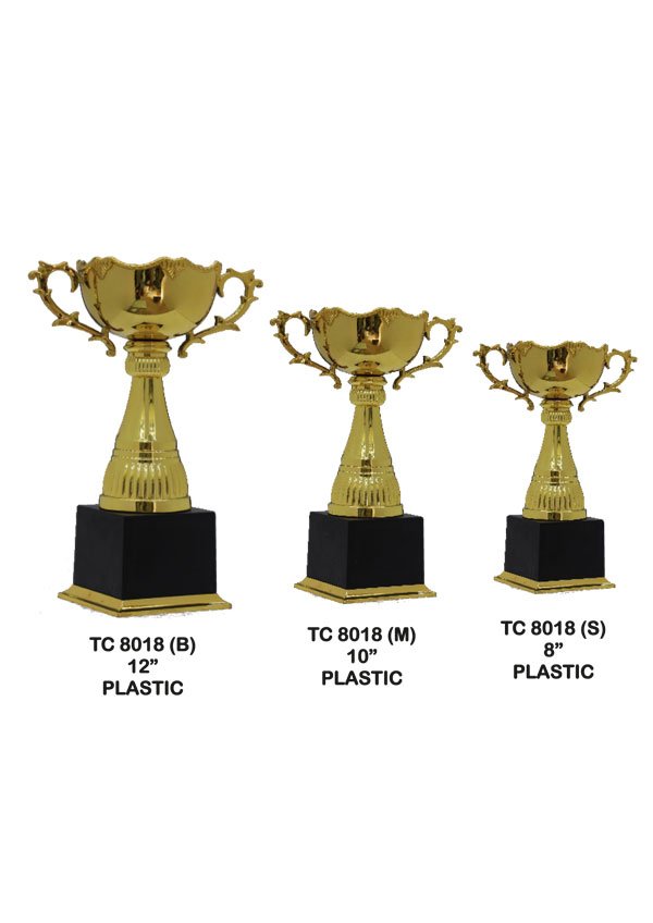 Cups Trophy Manufacturer in Delhi