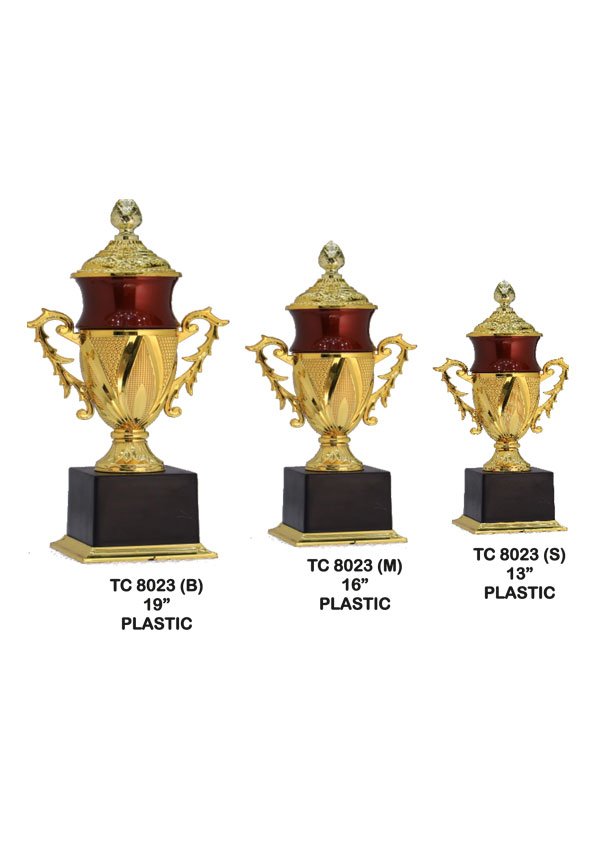 Cups Trophy Manufacturer in Delhi