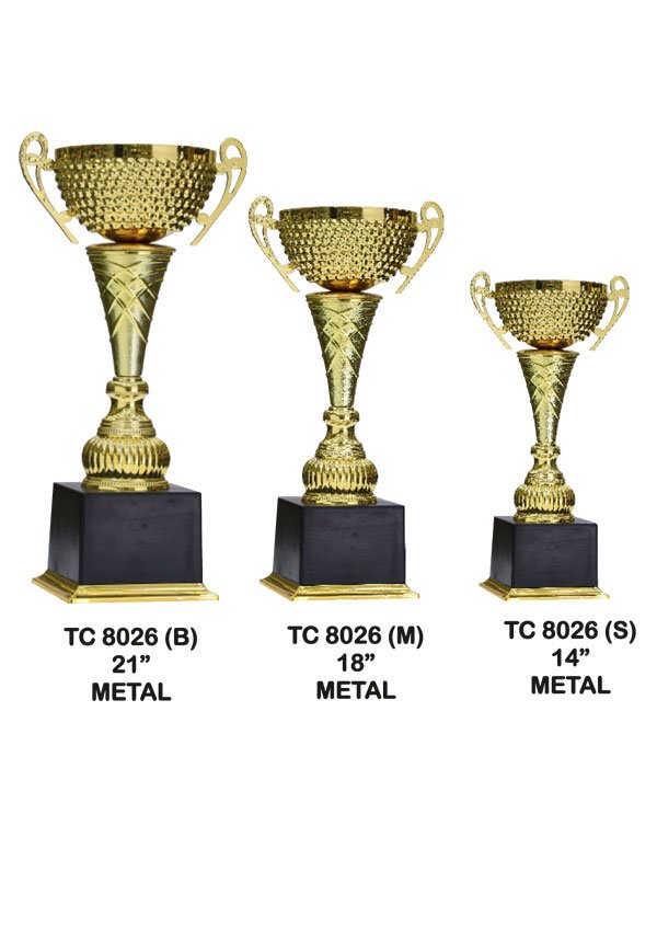 Cups Trophy Manufacturer in Delhi