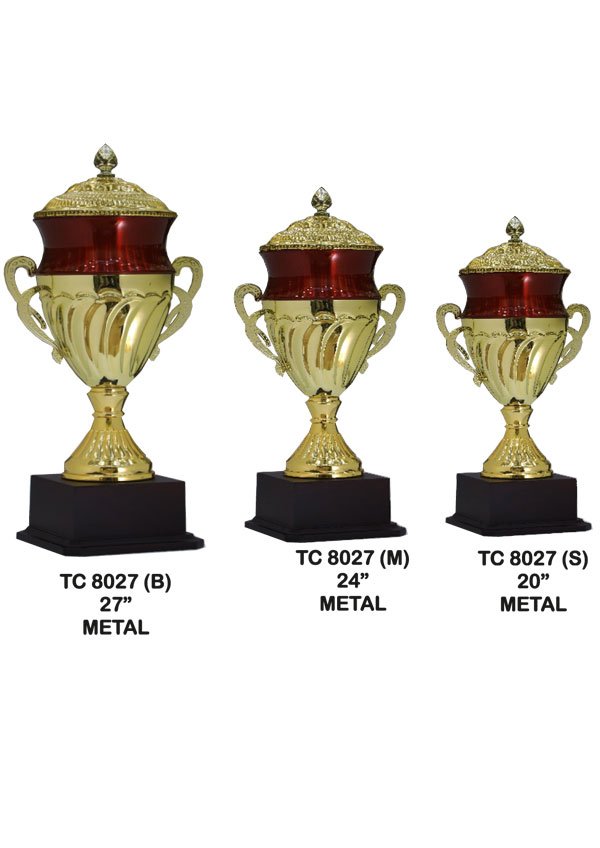 Cups Trophy Manufacturer in Delhi