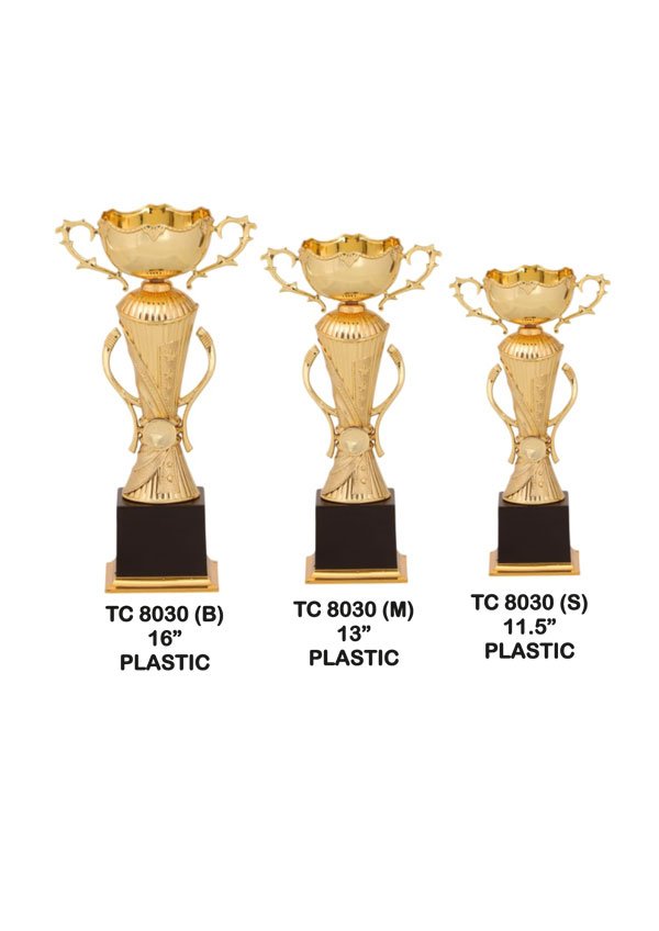 Cups Trophy Manufacturer in Delhi