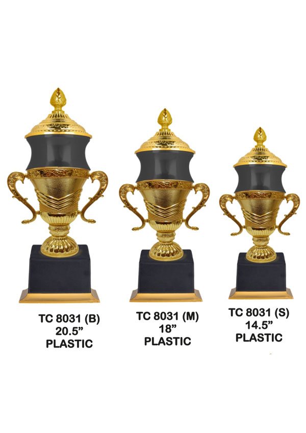 Cups Trophy Manufacturer in Delhi