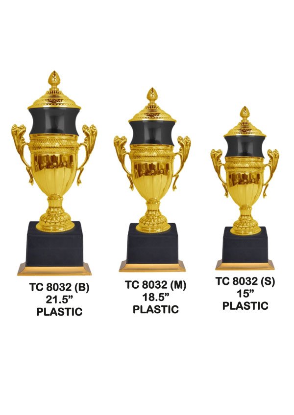 Cups Trophy Manufacturer in Delhi