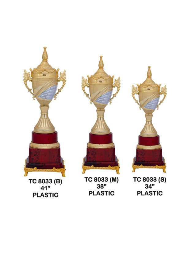 Cups Trophy Manufacturer in Delhi