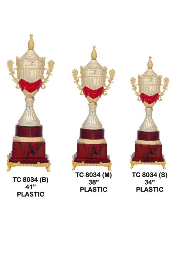 Cups Trophy Manufacturer in Delhi