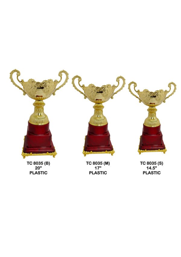 Cups Trophy Manufacturer in Delhi