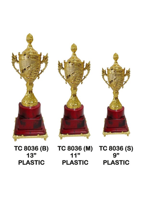 Cups Trophy Manufacturer in Delhi