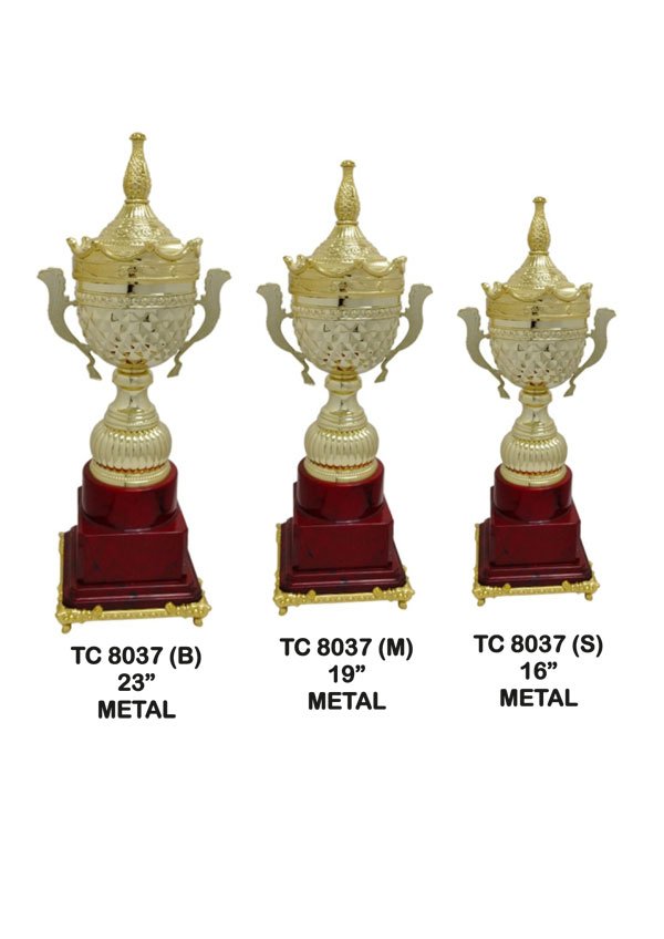 Cups Trophy Manufacturer in Delhi