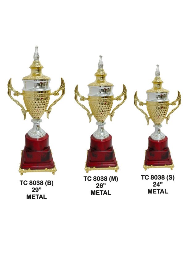 Cups Trophy Manufacturer in Delhi