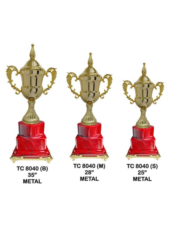 Cups Trophy Awards Manufacturer in Delhi