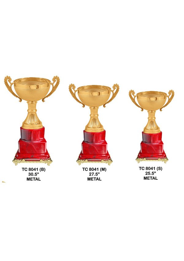 Cups Trophy Manufacturer in Delhi