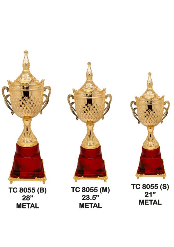 Cups-trophy-8045