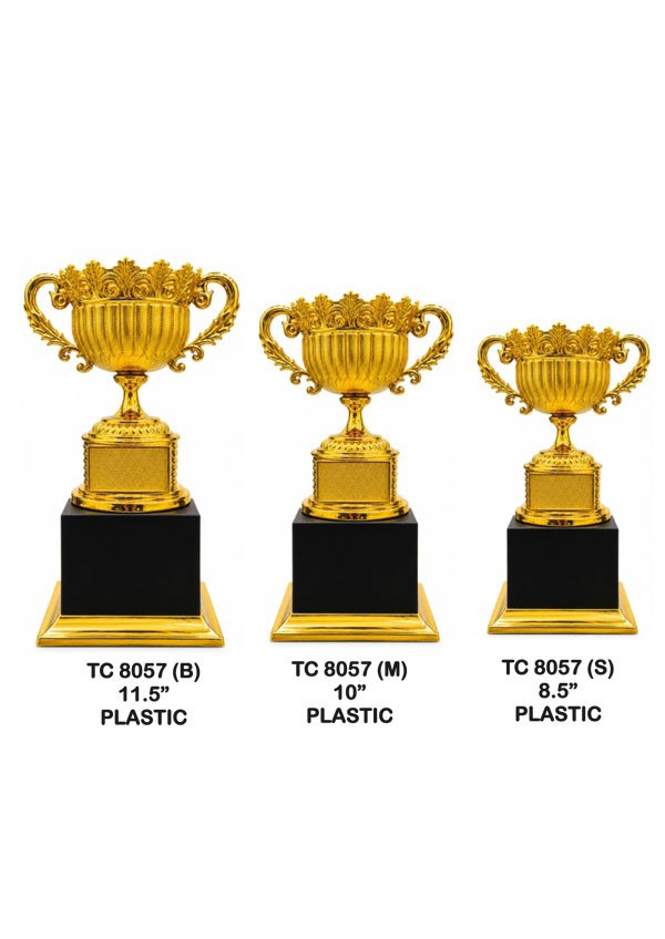 Cups-trophy-8046