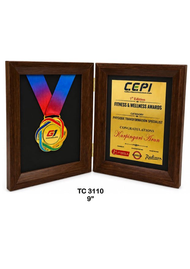 Customized-iindustrial-plastic-frame-trophy-manufacturer-3109