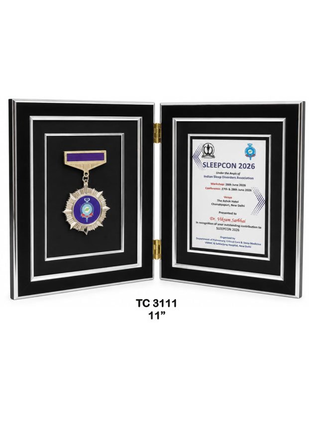 Customized-iindustrial-plastic-frame-trophy-manufacturer-3109