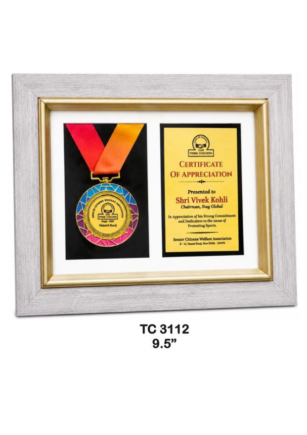 Customized-iindustrial-plastic-frame-trophy-manufacturer-3109